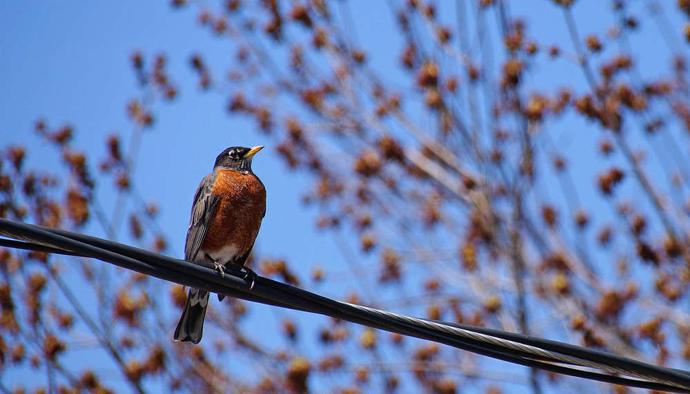 ����������� ����� �������  �� PhotoGeek.ru #�������� ���