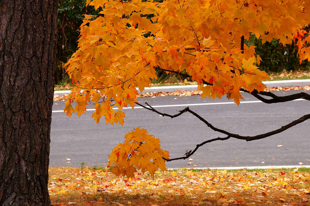 �������� ����� �������  �� PhotoGeek.ru #������ ��� �������