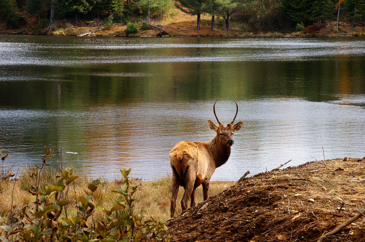 ��������� ����� �������  �� PhotoGeek.ru #�������� ���