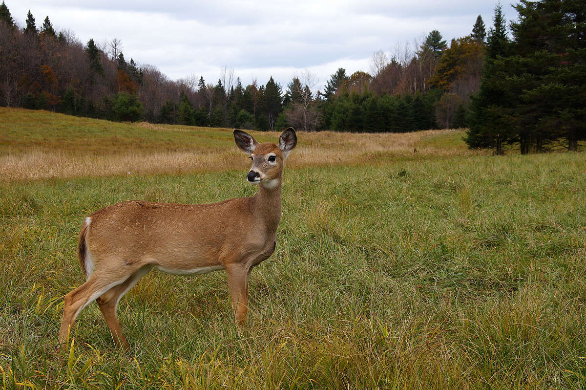 ������ ������ ����� �������  �� PhotoGeek.ru #�������� ��� #������ ��� �������