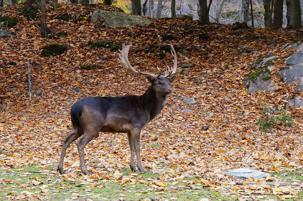 ��������� ����� �������  �� PhotoGeek.ru #�������� ���