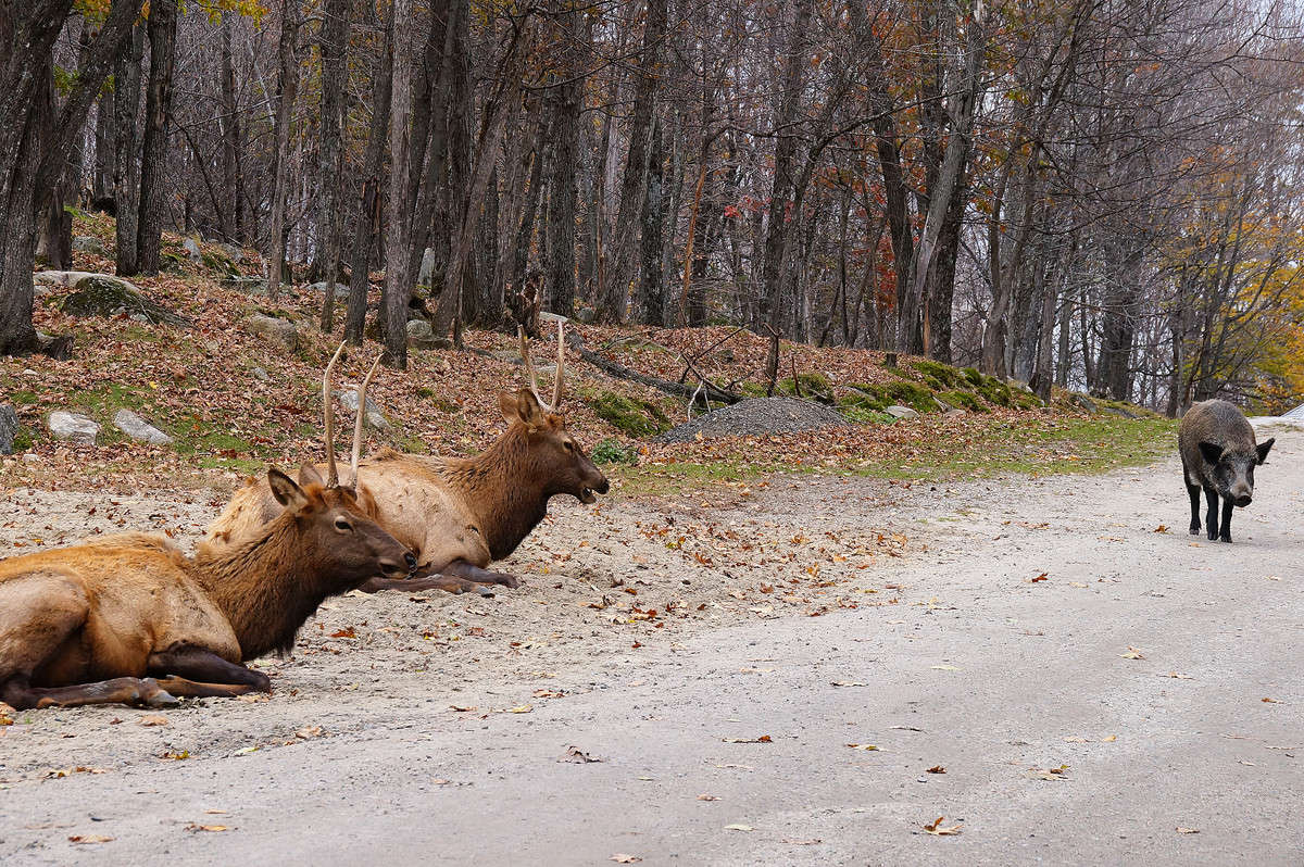 ����� ��� ������... ����� �������  �� PhotoGeek.ru #�������� ���