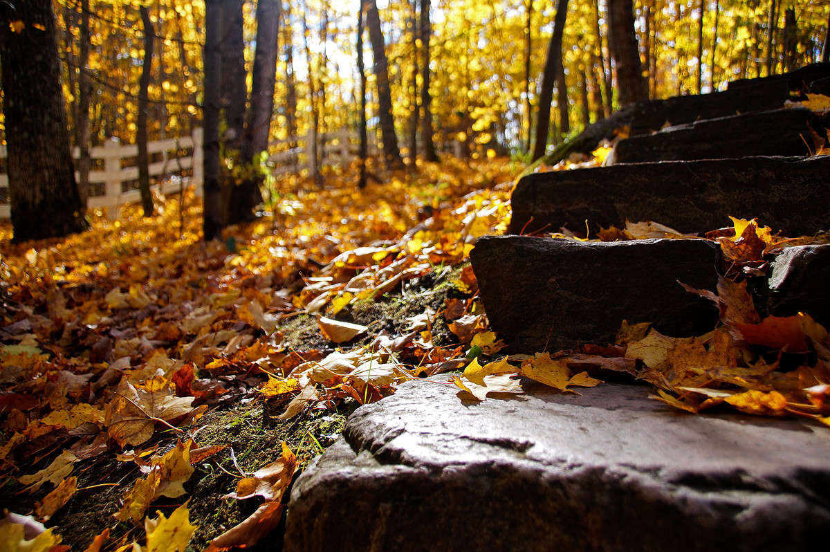 ������� ���� ����� �������  �� PhotoGeek.ru #������ ��� �������