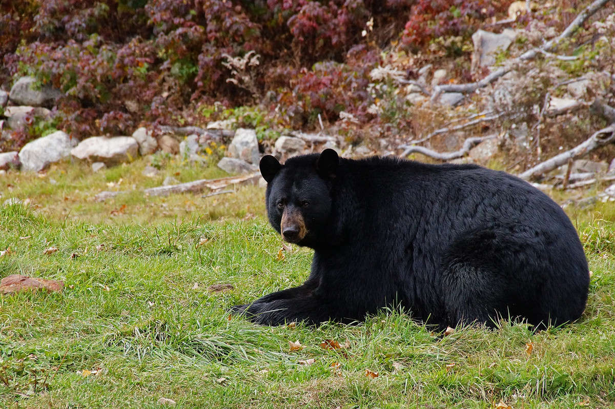 ��������� ������ ����� �������  �� PhotoGeek.ru #�������� ���