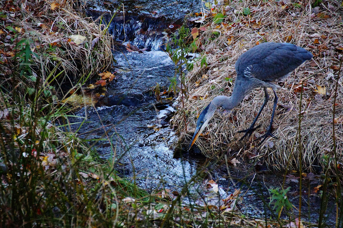 ����� ������ ����� �������  �� PhotoGeek.ru #�������� ���