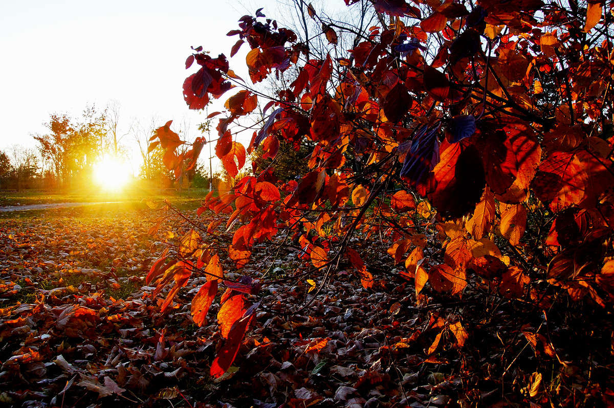 ���-��� ����� �������  �� PhotoGeek.ru #������ ��� �������