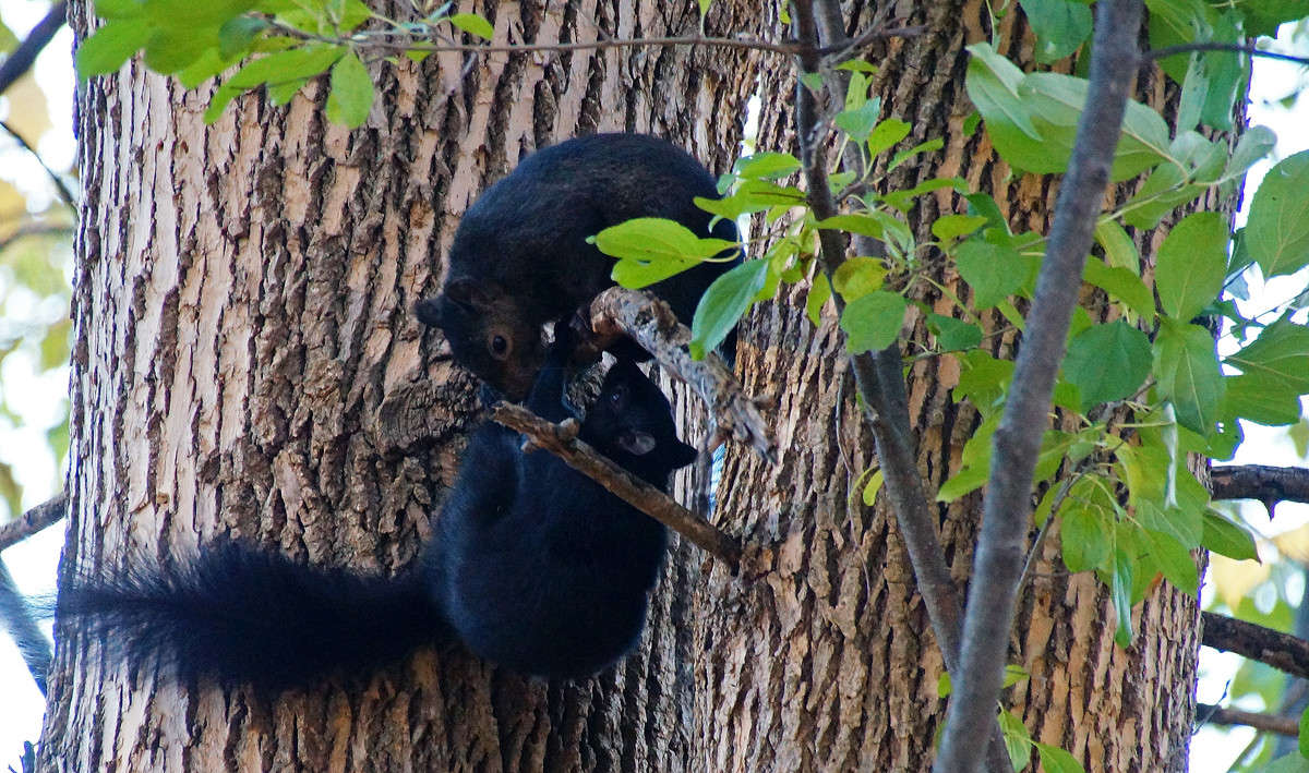 �� �������� ����� �������  �� PhotoGeek.ru #�������� ���