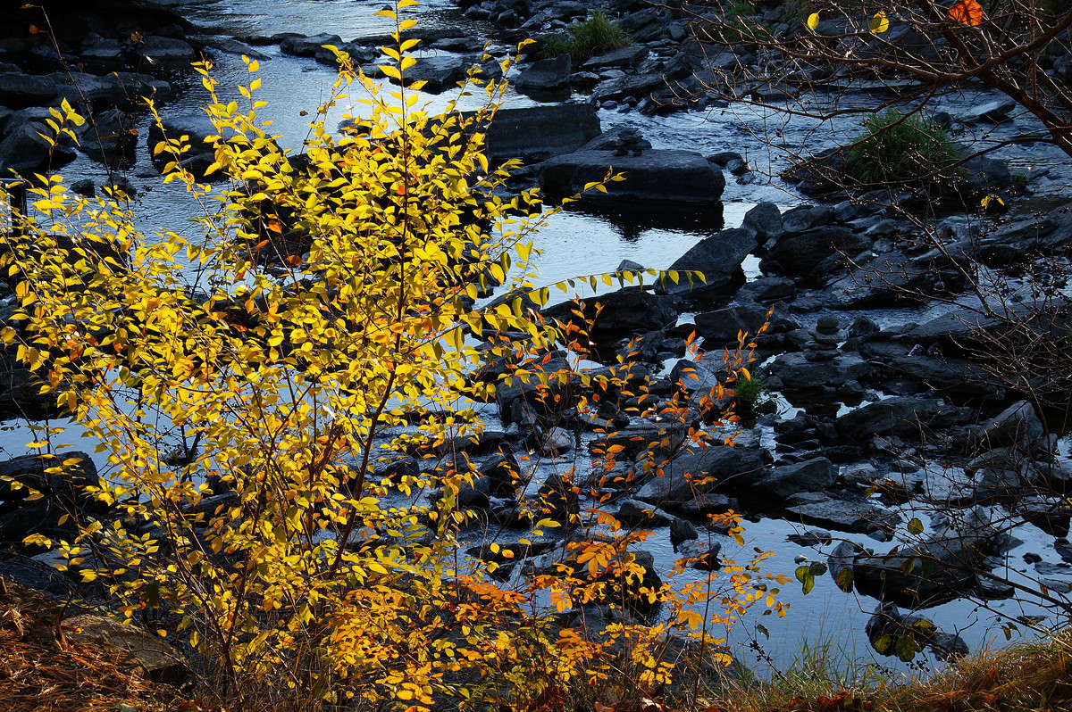 ��������������� ����� �������  �� PhotoGeek.ru #������ ��� �������