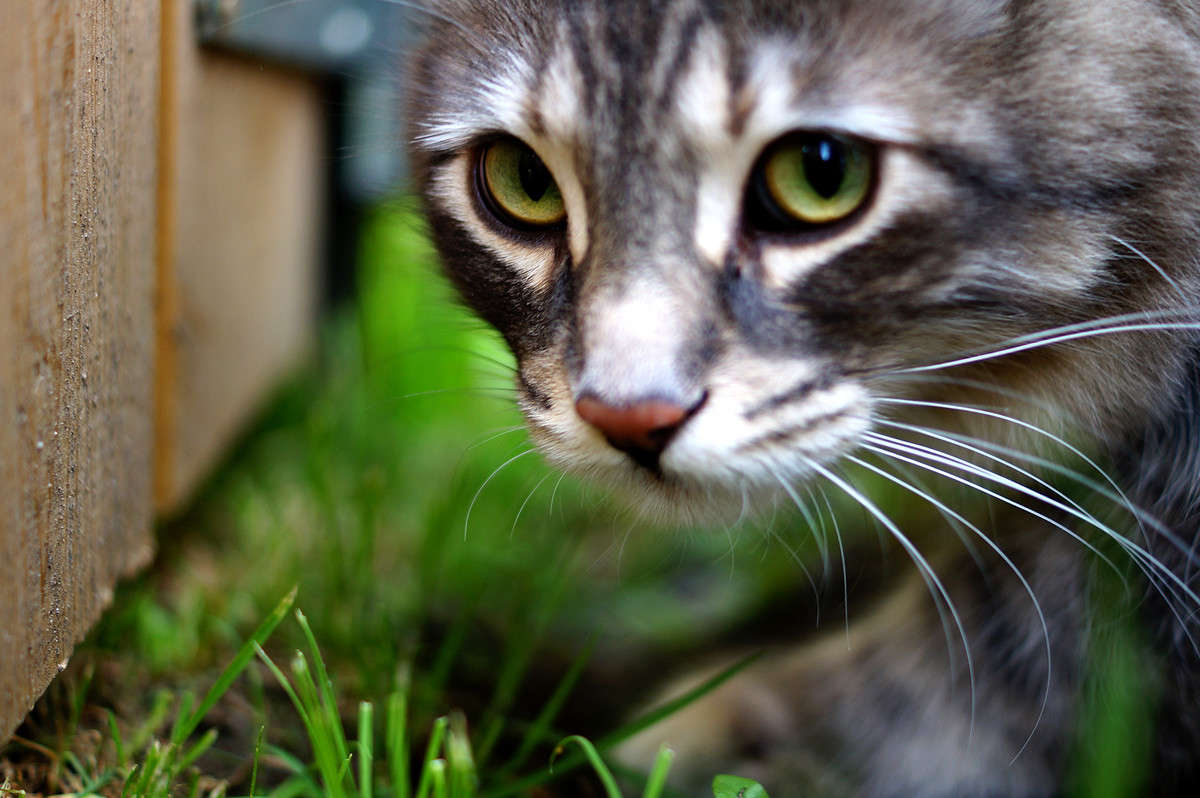 ������ �������� ����� �������  �� PhotoGeek.ru #�������� ���