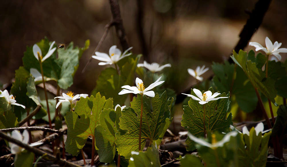 �������� ����� �������  �� PhotoGeek.ru #������ ��� �������
