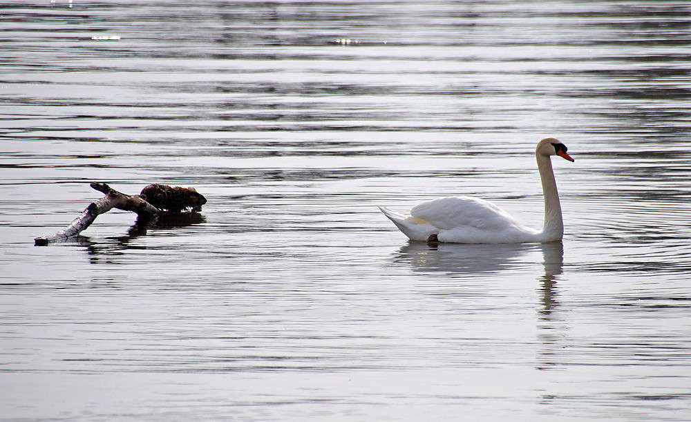 � ������� ����... ����� �������  �� PhotoGeek.ru #�������� ���