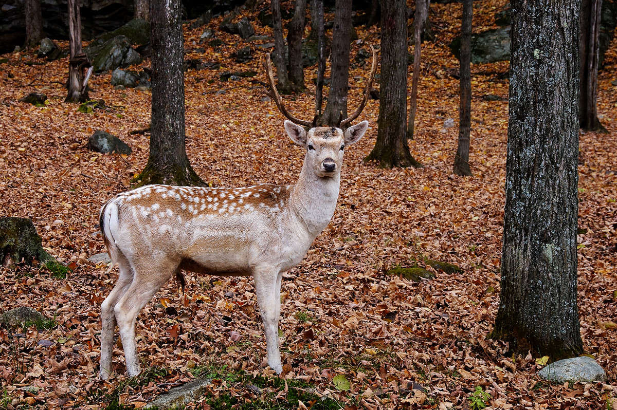 ��������� ����� �������  �� PhotoGeek.ru #�������� ���