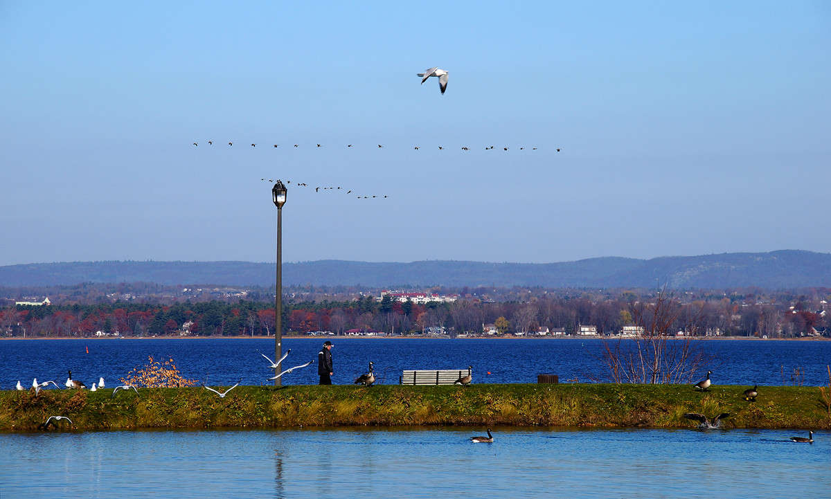 ����� � ����� ����� �������  �� PhotoGeek.ru #�������� ��� #������ ��� ������� #�������� ����������