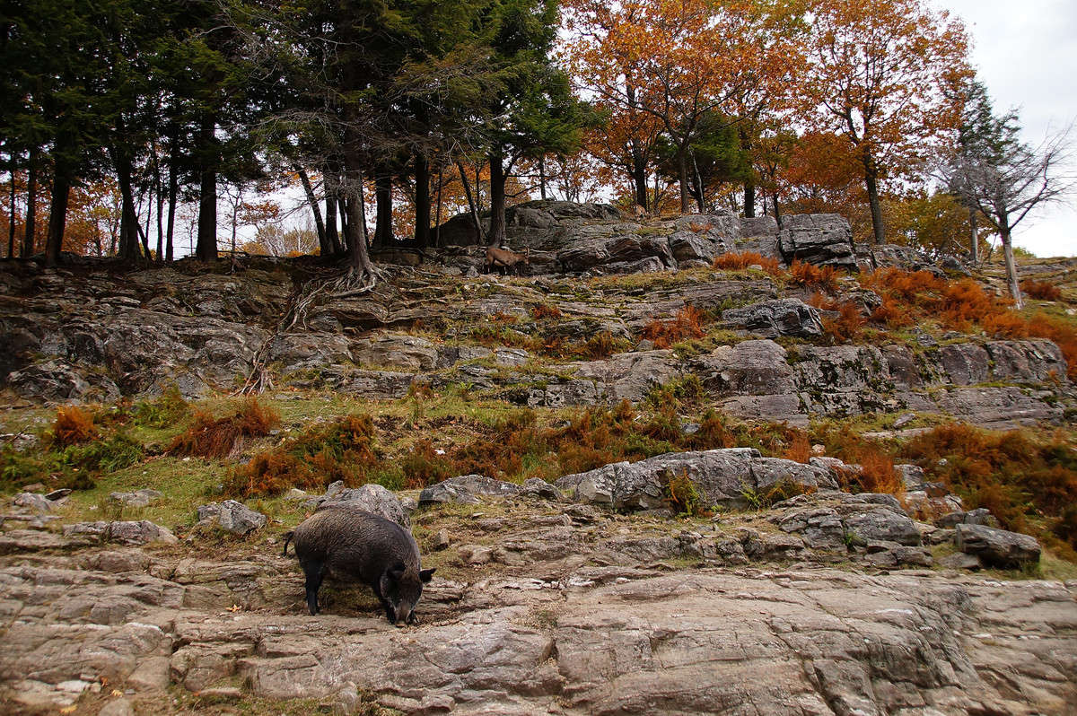 ������� �� ������� ����� �������  �� PhotoGeek.ru #�������� ��� #������ ��� �������