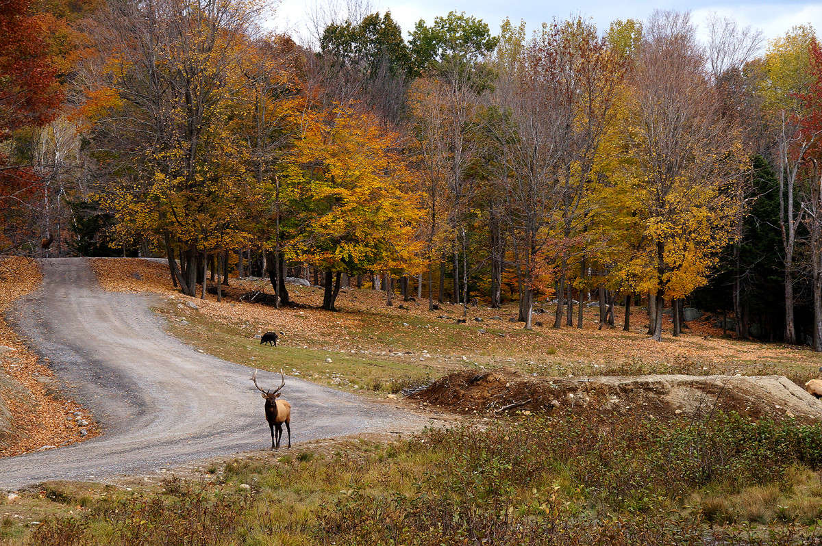 ������� �� ������� ����� �������  �� PhotoGeek.ru #�������� ��� #������ ��� �������