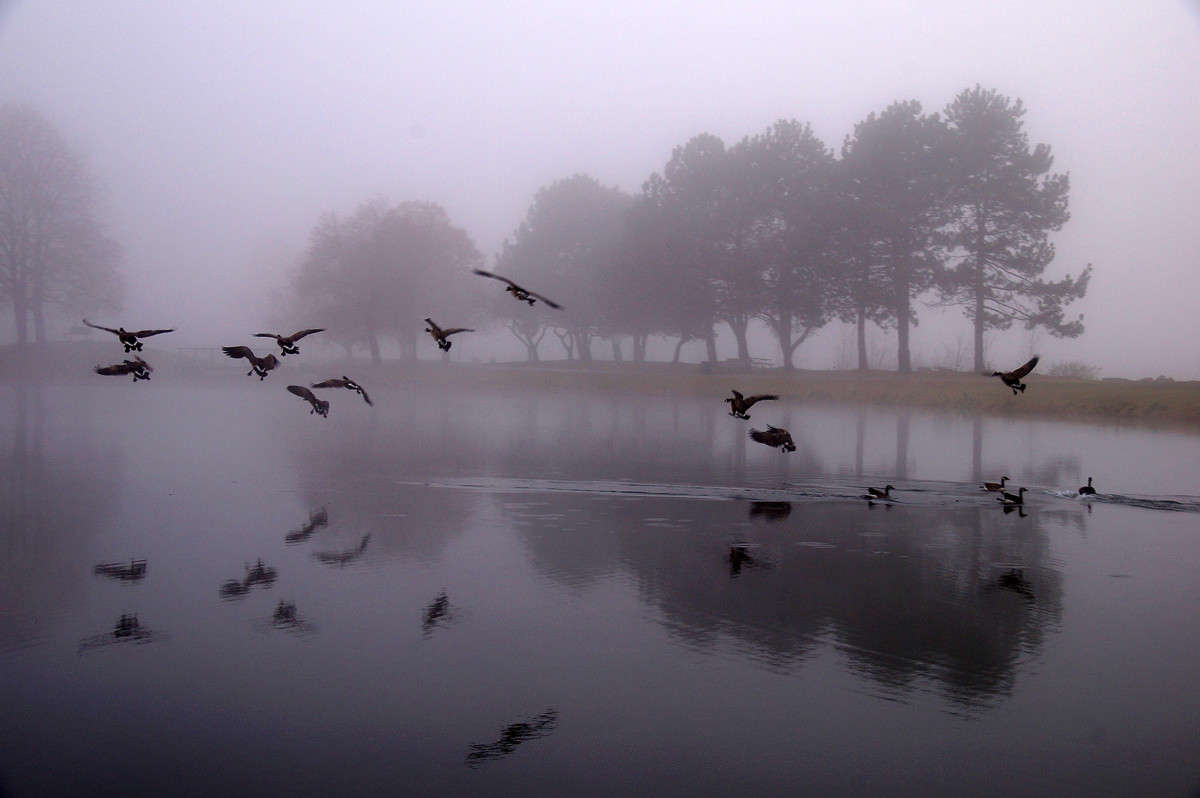 � ��������� ���� ����� ���� ����� �������  �� PhotoGeek.ru #�������� ��� #������ ��� �������