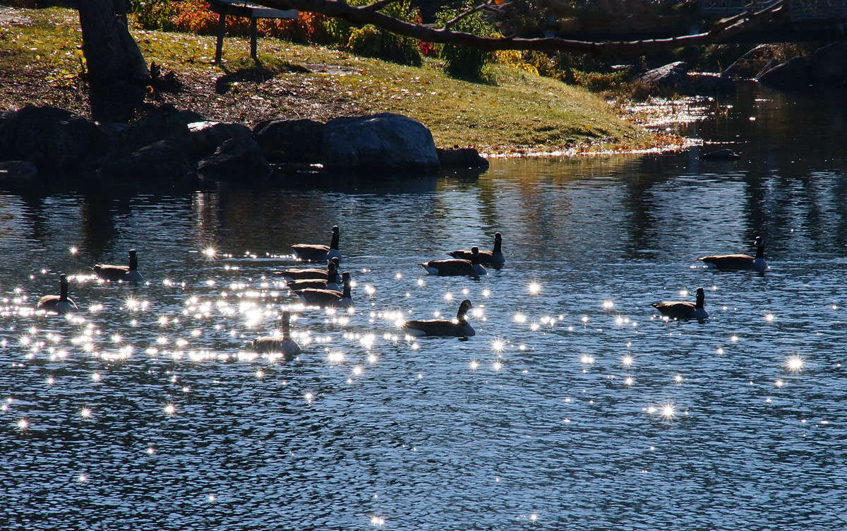 �� ������� ���������� ����� �������  �� PhotoGeek.ru #�������� ��� #������ ��� �������