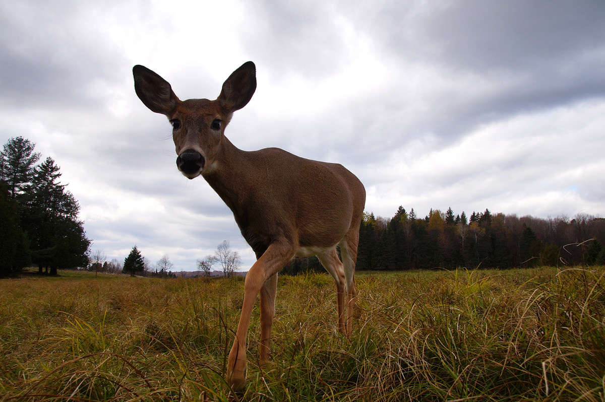 ��� ������ - �����������? ����� �������  �� PhotoGeek.ru #�������� ���