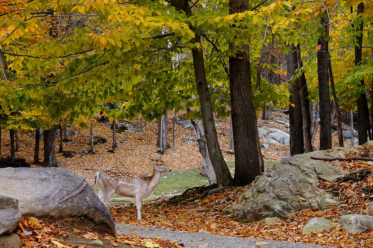 �������� ����� �������  �� PhotoGeek.ru #�������� ��� #������ ��� �������