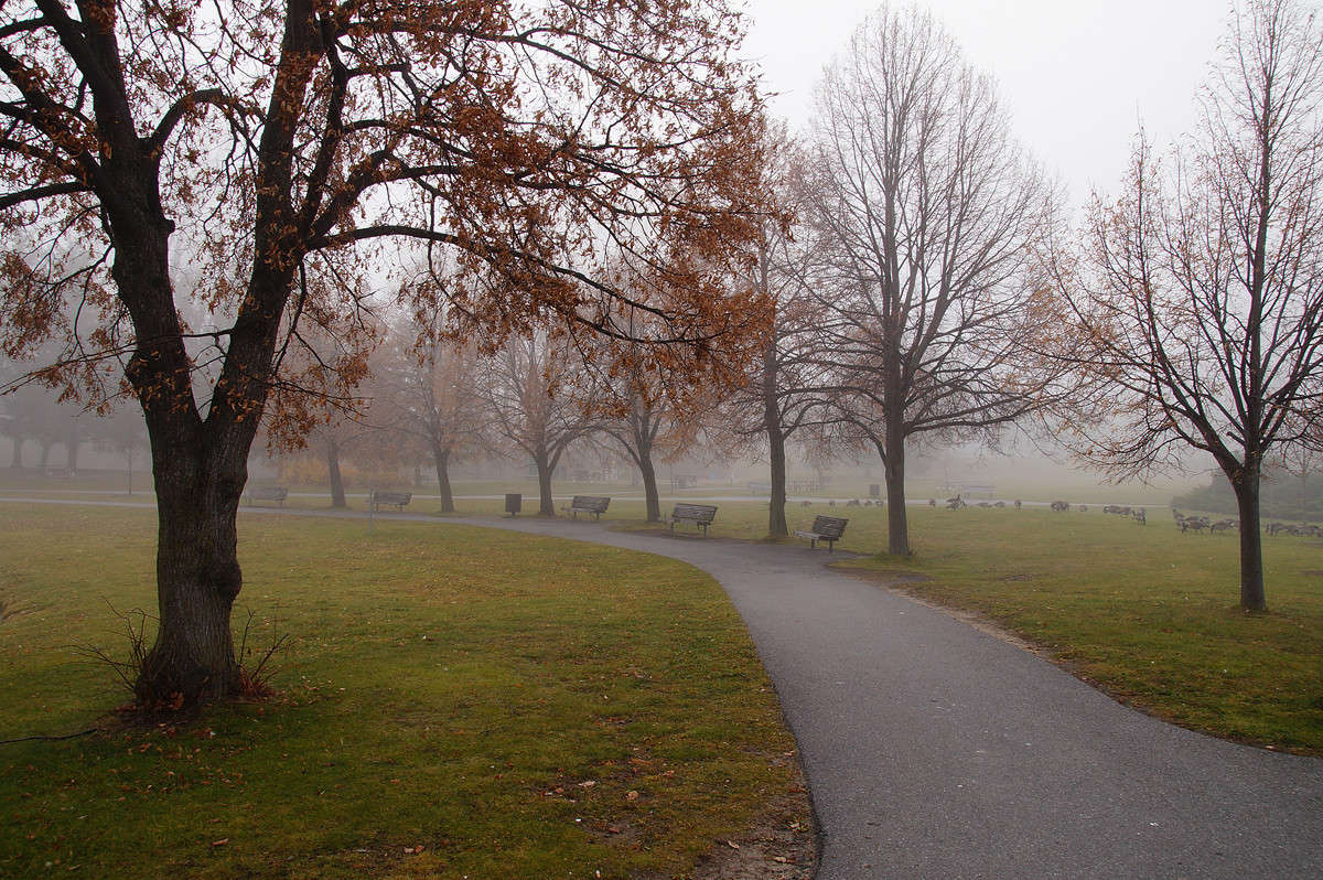 ����, � ��� ����� ������� ����� �������  �� PhotoGeek.ru #�������� ��� #������ ��� �������