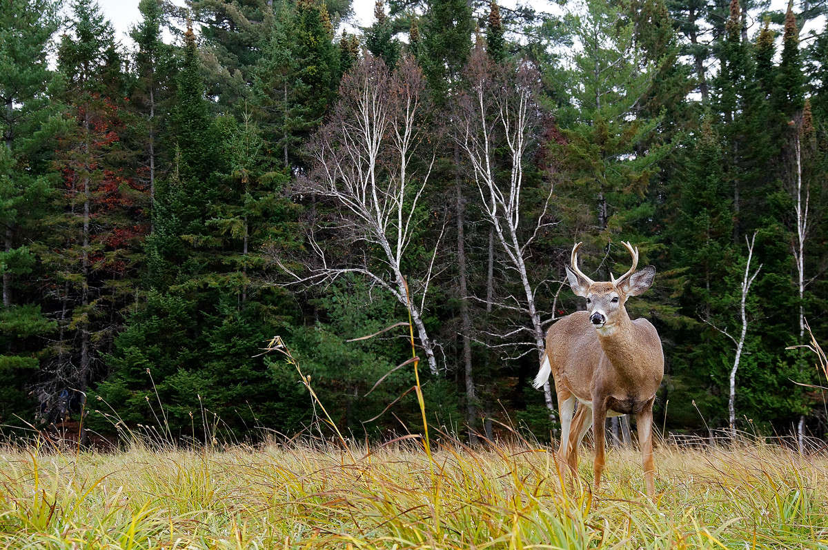 � ������ ������ ����� �������  �� PhotoGeek.ru #�������� ���