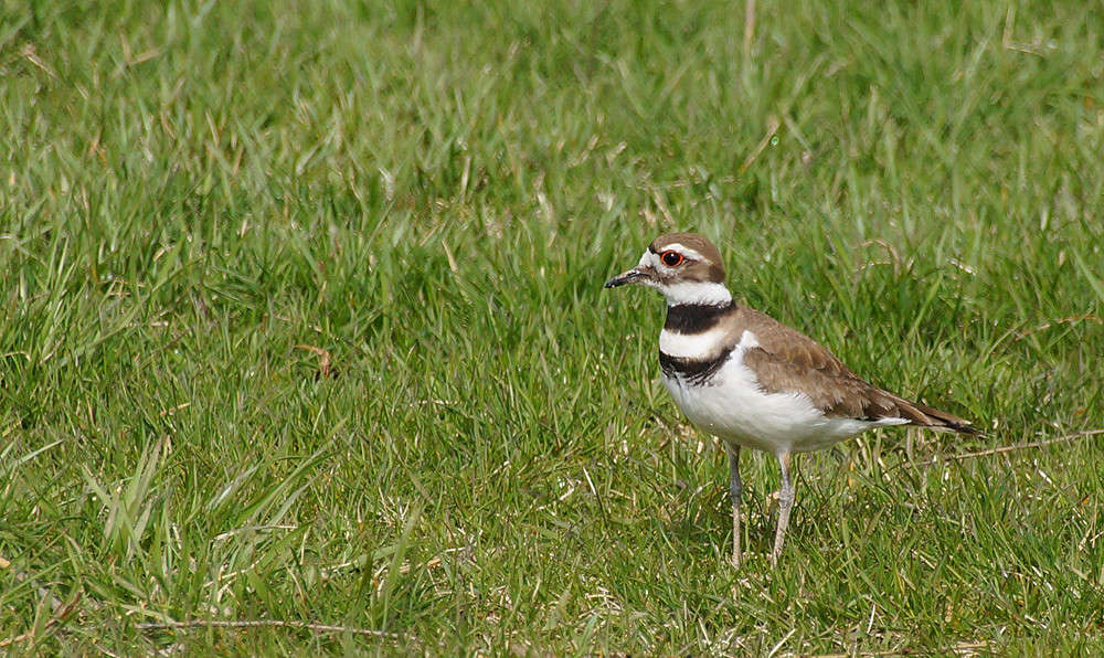 ������� ����� ����� �������  �� PhotoGeek.ru #�������� ���