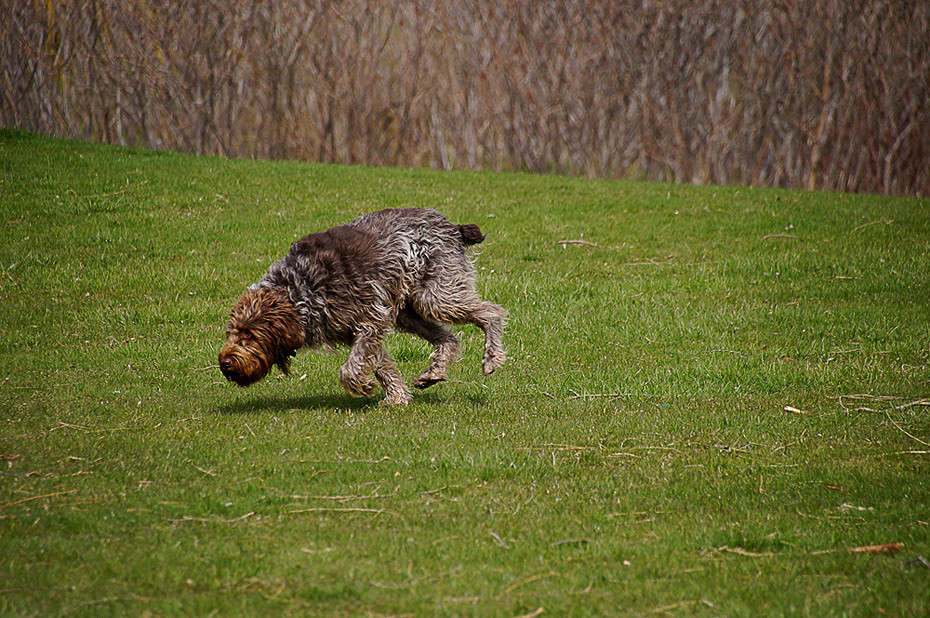 ������ �� ����� ���� ����� �������  �� PhotoGeek.ru #�������� ���