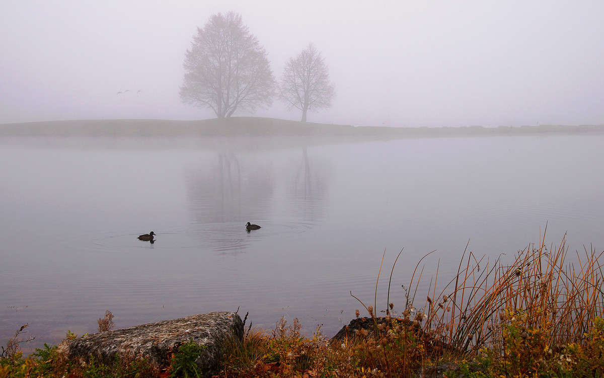 ������� ����� �������  �� PhotoGeek.ru #�������� ��� #������ ��� �������