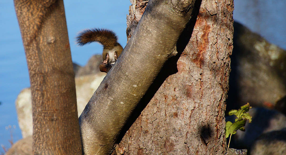 ������? ����� �������  �� PhotoGeek.ru #�������� ���