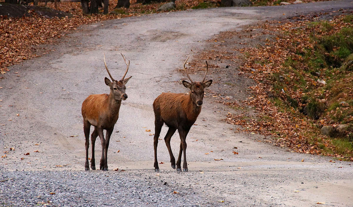 �� ������ �� ������� ����� �������  �� PhotoGeek.ru #�������� ��� #������ ��� �������