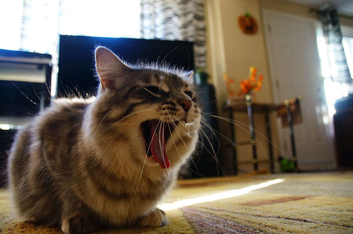 ���������� �� ���� ����� �������  �� PhotoGeek.ru #�������� ���