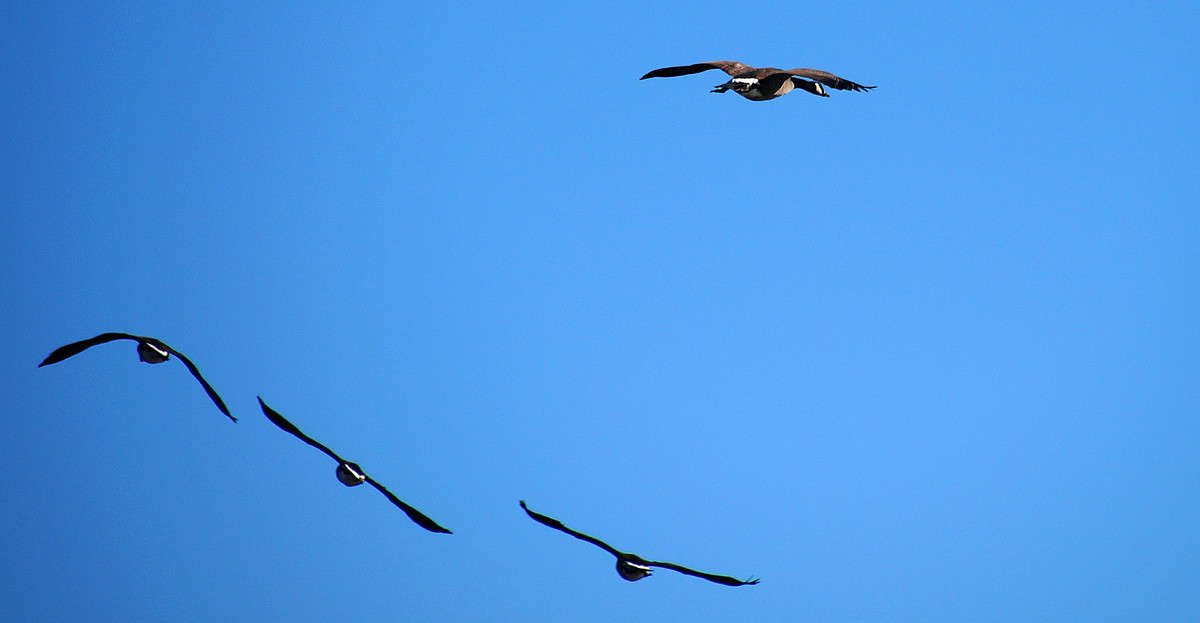 ������ ������ ����� �������  �� PhotoGeek.ru #�������� ���