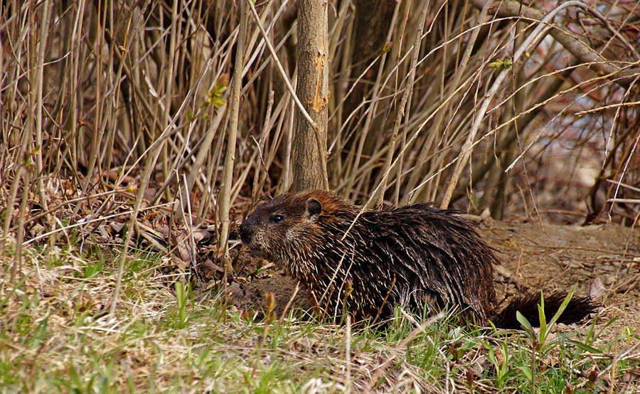 ������ ����� ��������� ����� �������  �� PhotoGeek.ru #�������� ���