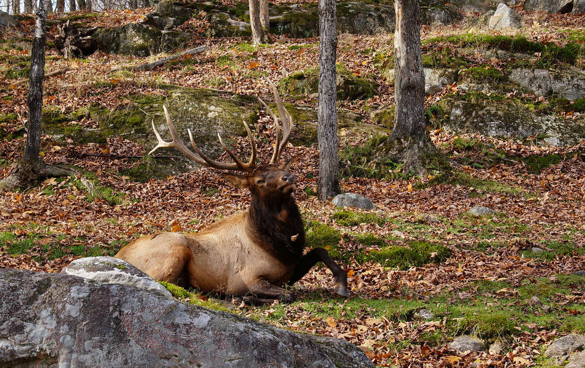 ����������� ����� �������  �� PhotoGeek.ru #�������� ���