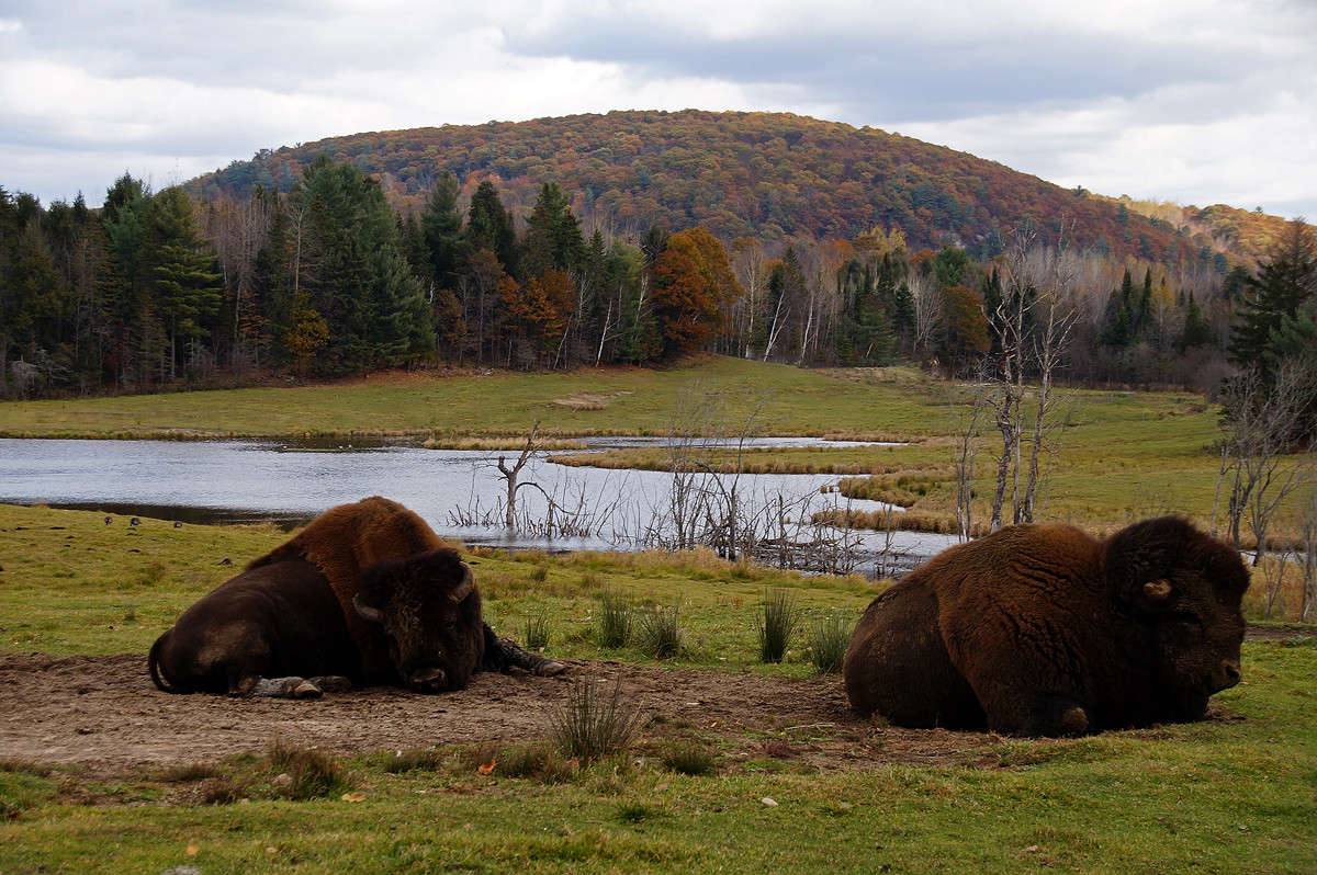 ������-���������� ����� �������  �� PhotoGeek.ru #�������� ���