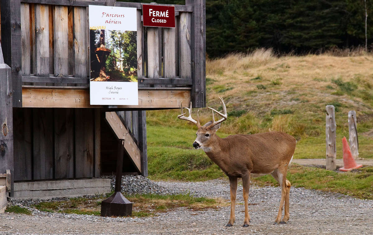 ������� ����� �������  �� PhotoGeek.ru #�������� ��� #�������� ����������