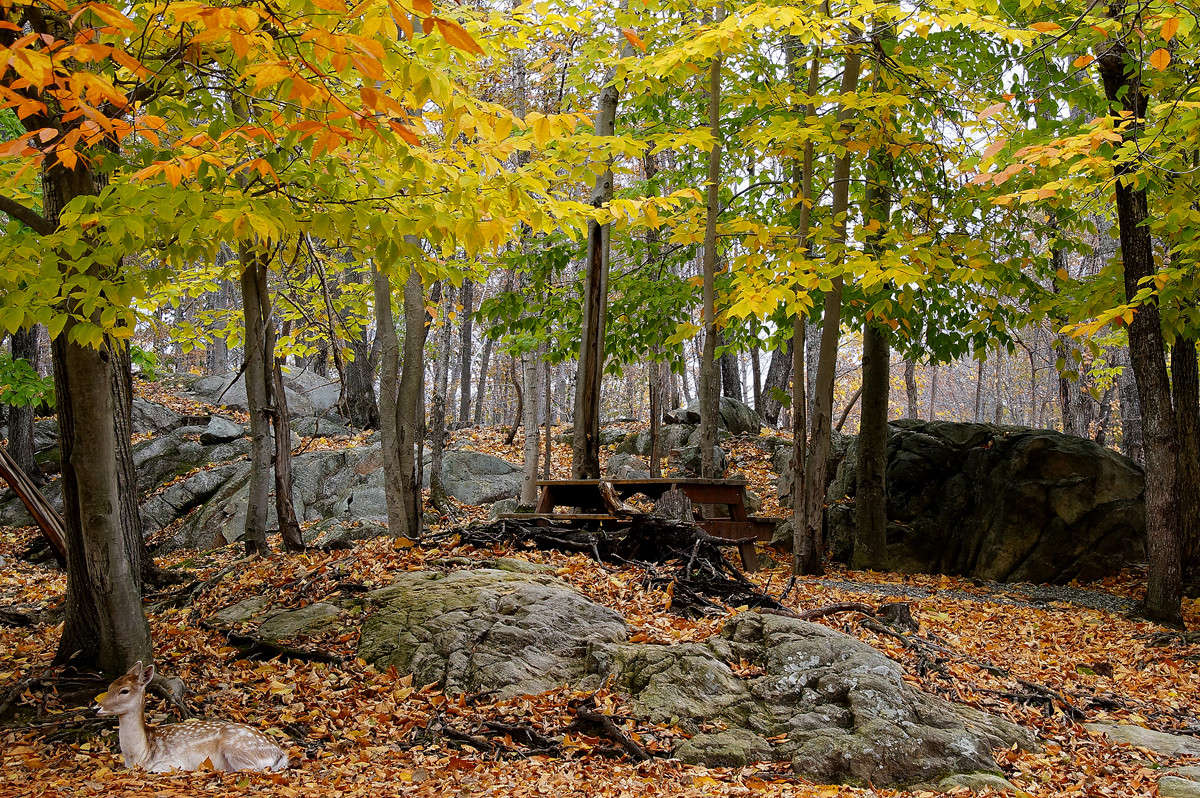 ����� ���������� ����� �������  �� PhotoGeek.ru #�������� ��� #������ ��� �������