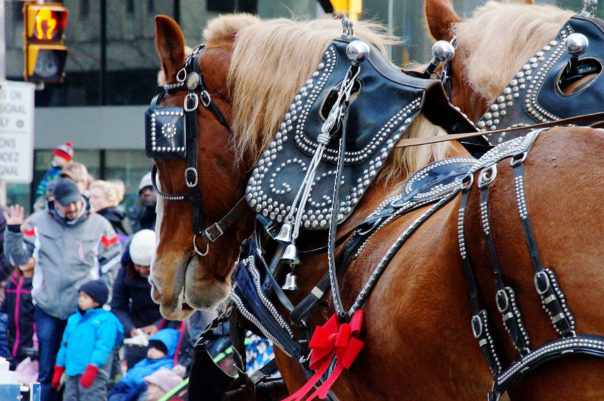 ����� ������������ ����� �������  �� PhotoGeek.ru #�������� ��� #�������� ����������