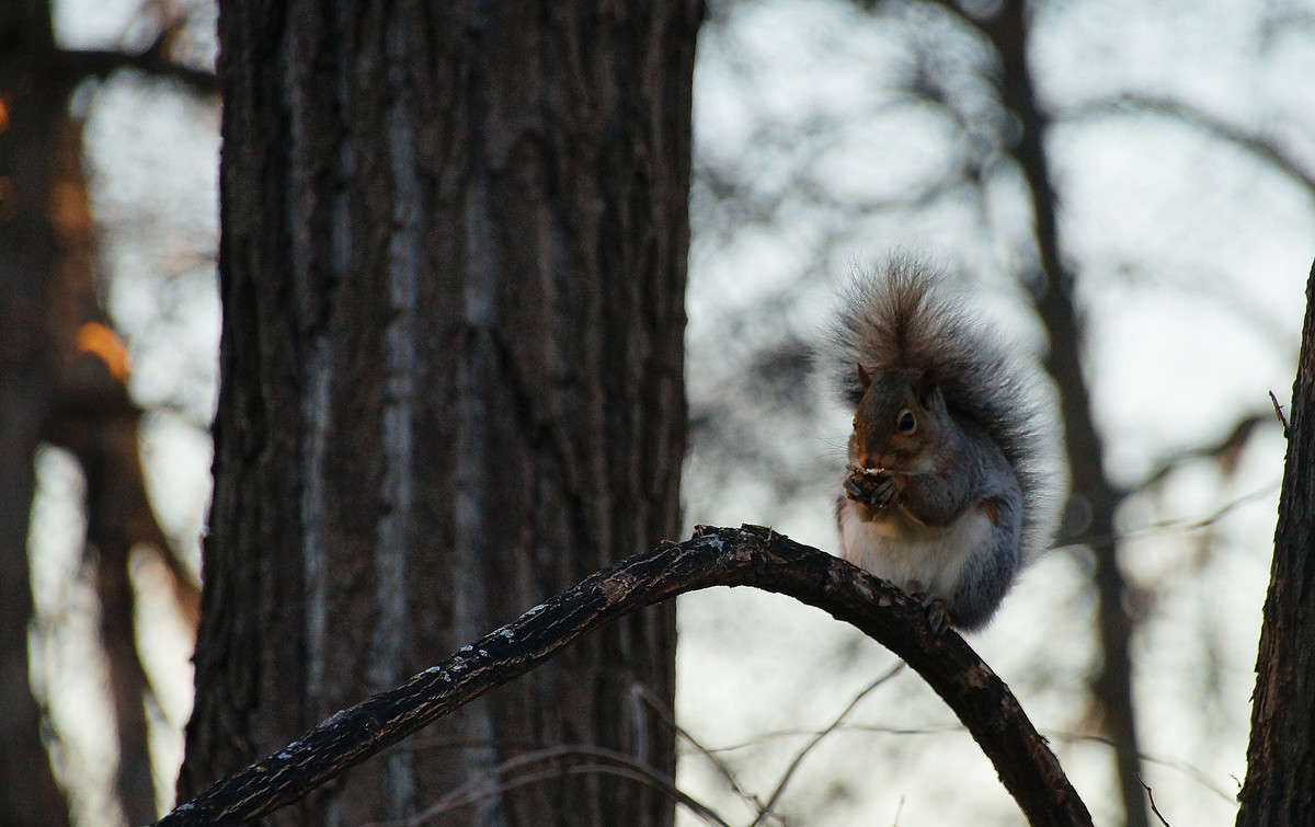 �� ���� ����� �������  �� PhotoGeek.ru #�������� ���