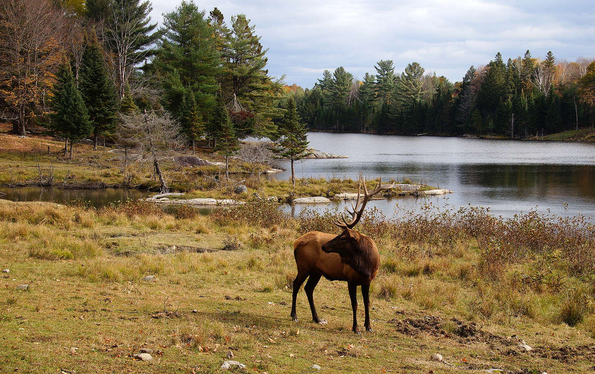 ����� ��������� ����� ����� �������  �� PhotoGeek.ru #�������� ��� #������ ��� �������