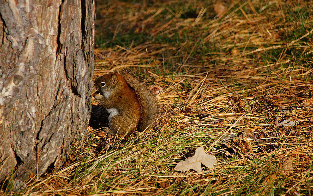 ���� �� ����������� ����� �������  �� PhotoGeek.ru #�������� ���