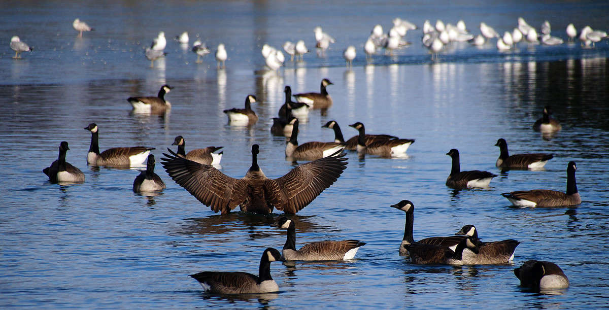 ������� ����! ����� �������  �� PhotoGeek.ru #�������� ���