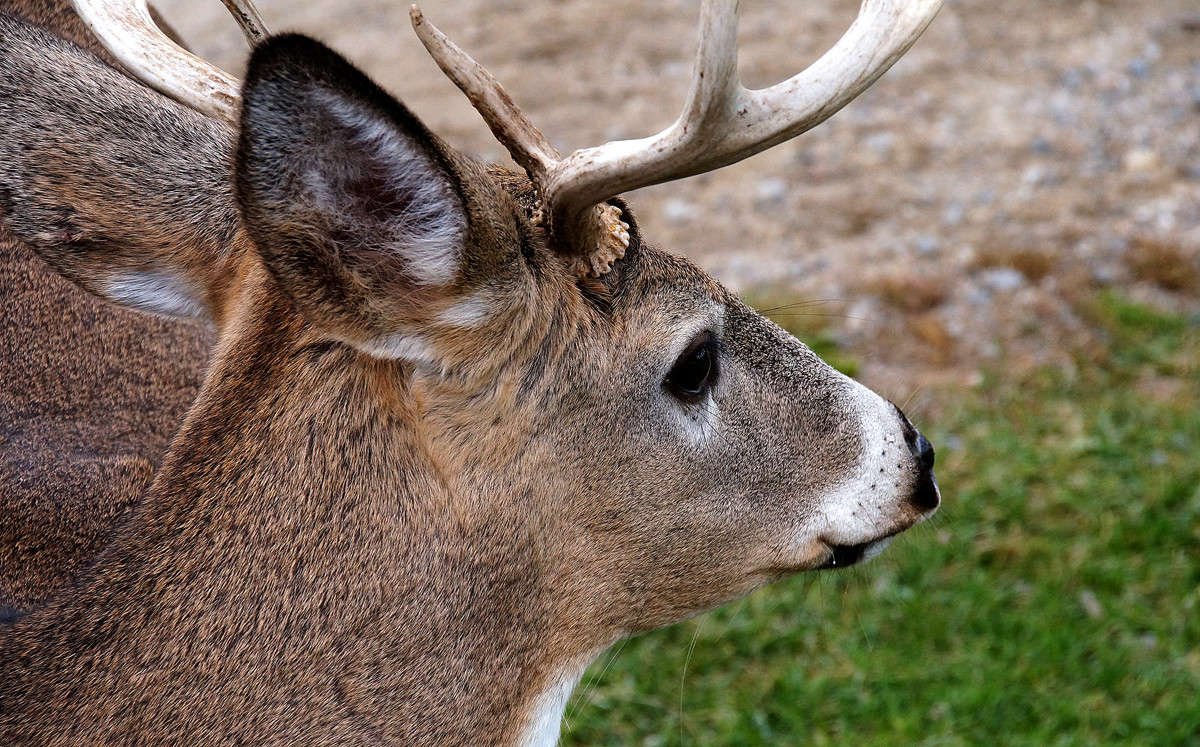 ��� ��� ��� ���� �����������! ����� �������  �� PhotoGeek.ru #�������� ���