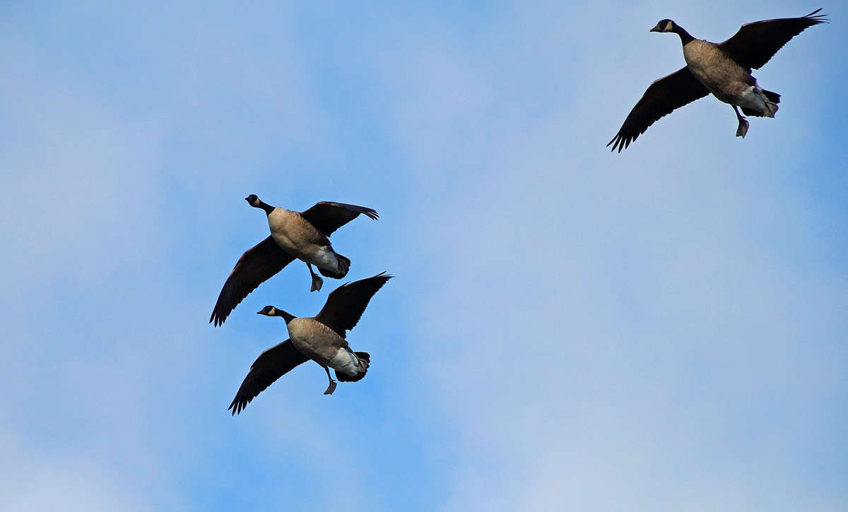 ����� ��������� ����� �������  �� PhotoGeek.ru #�������� ���