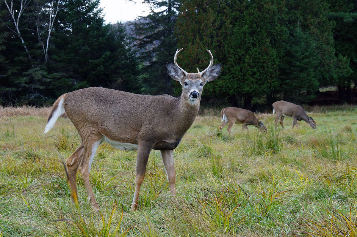 ������ ������ ����� �������  �� PhotoGeek.ru #�������� ���