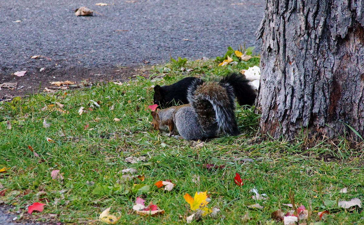 ������� ������������� - ���! ����� �������  �� PhotoGeek.ru #�������� ���