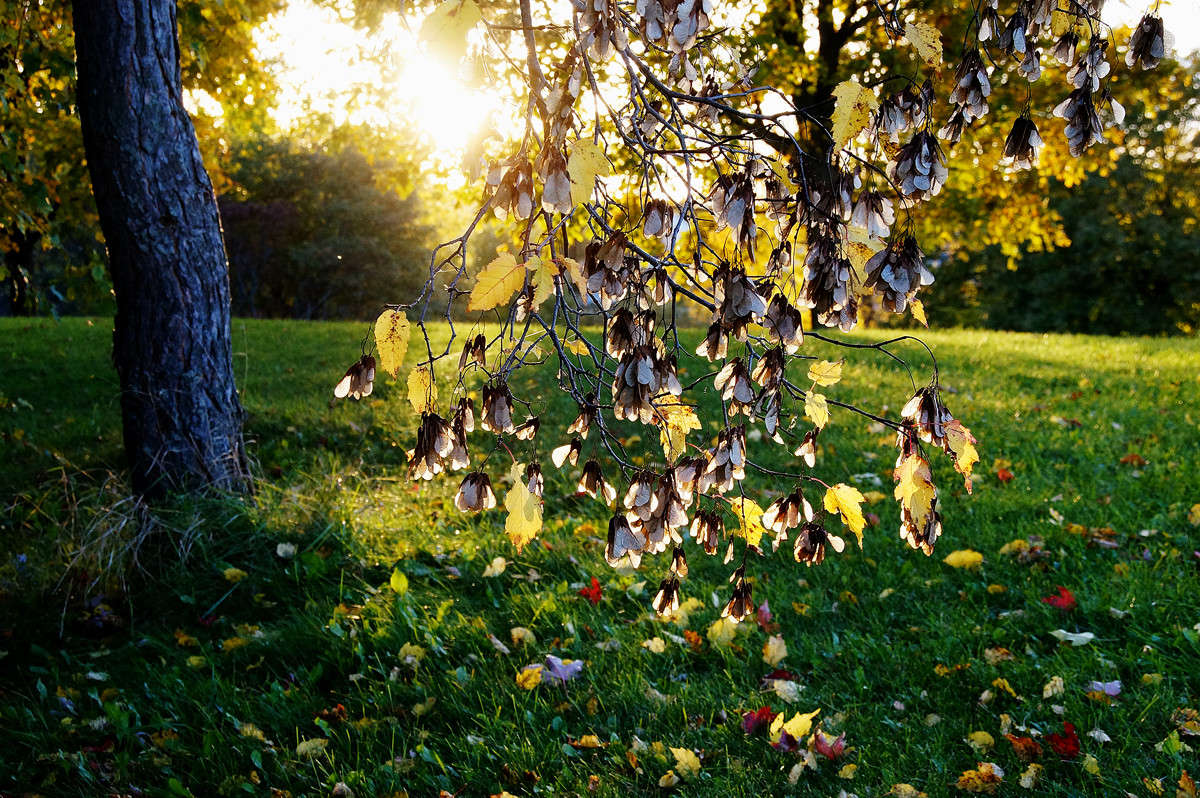� ������ ����� �������  �� PhotoGeek.ru #������ ��� �������