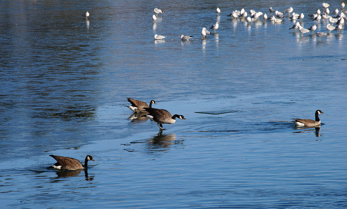 ������� ��� ��? ����� �������  �� PhotoGeek.ru #�������� ���