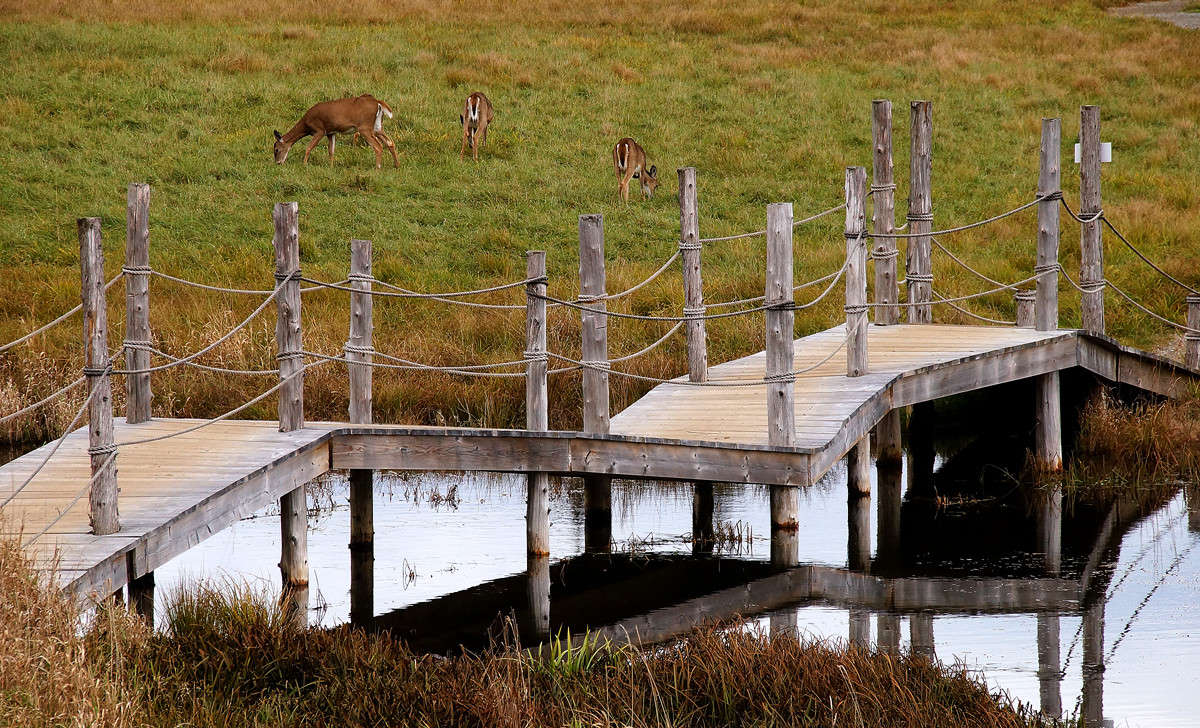 �������� � �������� ����� �������  �� PhotoGeek.ru #�������� ��� #������ ��� �������