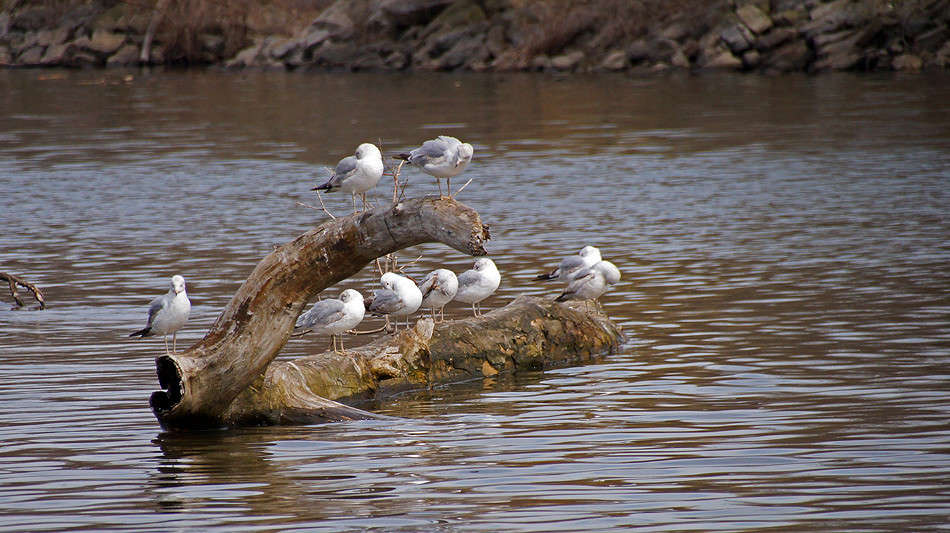 ������� �������� ����� �������  �� PhotoGeek.ru #�������� ���